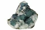 Pristine, Multicolored Fluorite Crystals on Quartz - China #164035-1